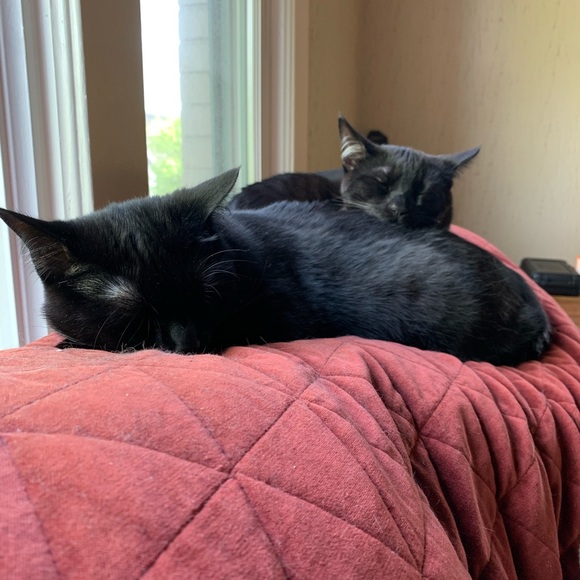 Meet your Posher, Katherine - Picture 5 of 5